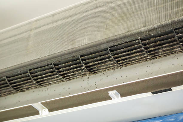 Best Affordable HVAC Duct Cleaning  in Mountlake Terrace, WA